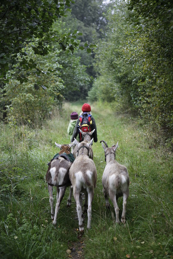 Unterwegs in der Natur